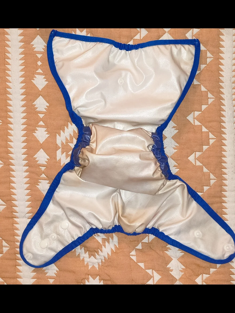 Best Bottom Blue-Trim Multicolor Dino Print Diaper Cover